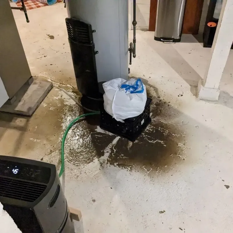 Sewage Backup Cleanup Service in Kelseyville, CA